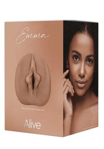 Picture of the product