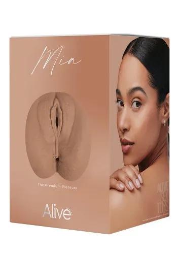 Picture of the product