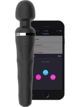 Picture of the product