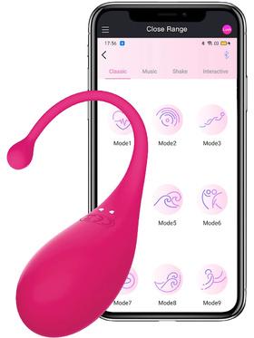 Picture of the product