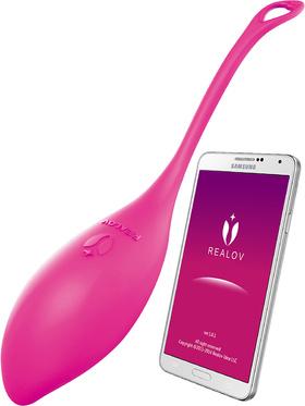 Picture of the product