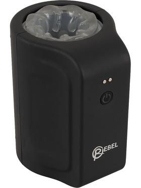 Picture of the product