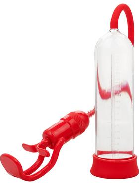 Picture of the product