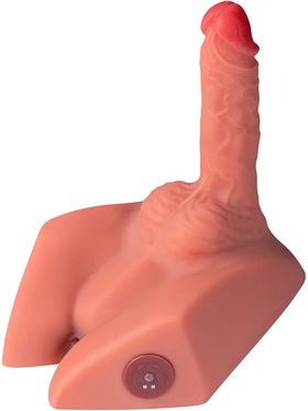 Picture of the product