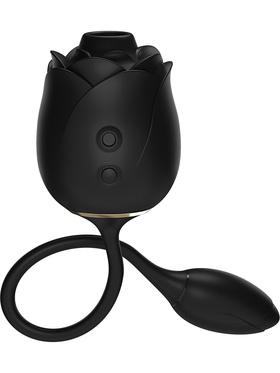 Picture of the product