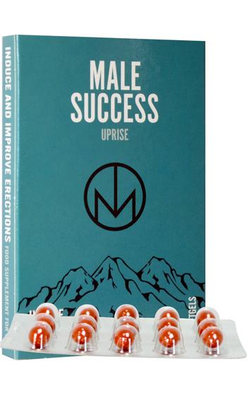 Picture of the product