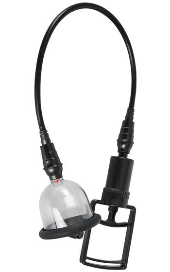 Picture of the product