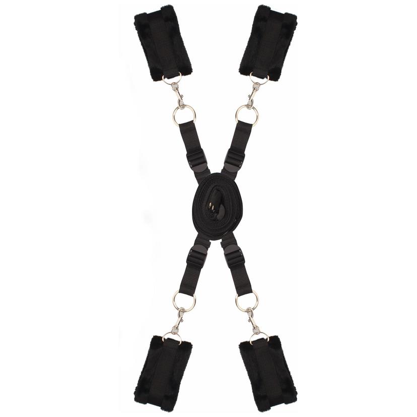 Picture of the product