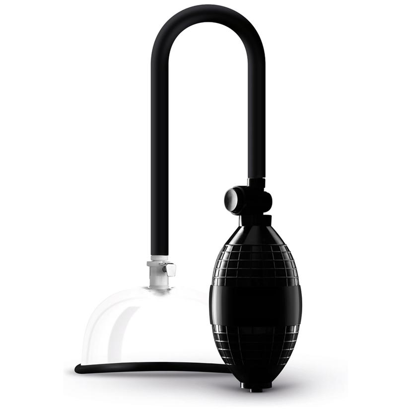 Picture of the product