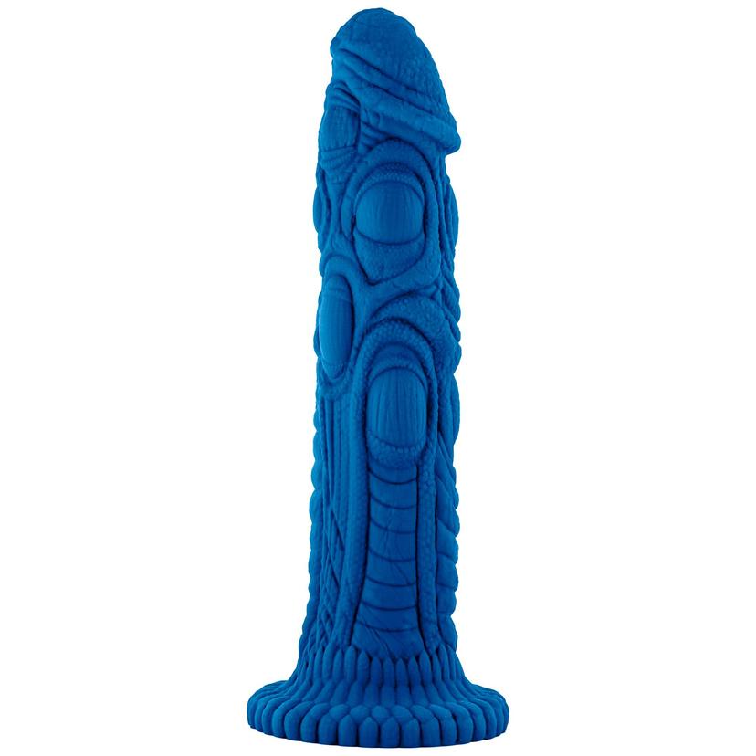 Picture of the product