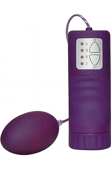Picture of the product