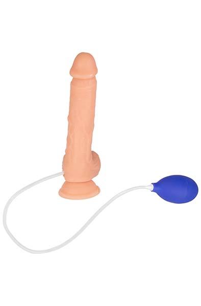 Picture of the product