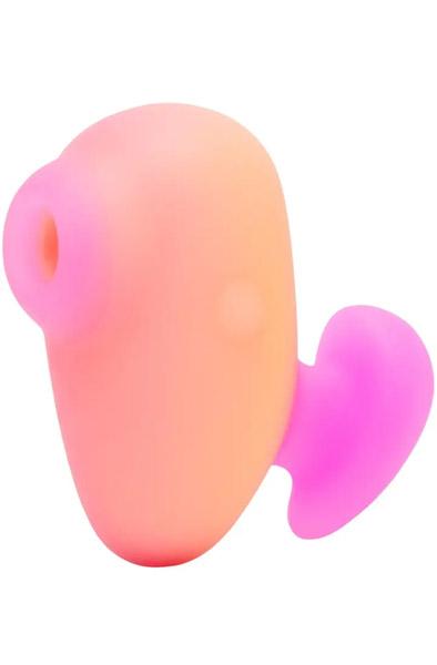 Picture of the product