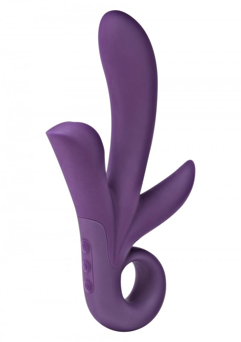 Picture of the product